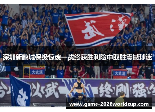 深圳新鹏城保级惊魂一战终获胜利险中取胜震撼球迷 深圳新鹏城保级惊魂一战终获胜利险中取胜震撼球迷